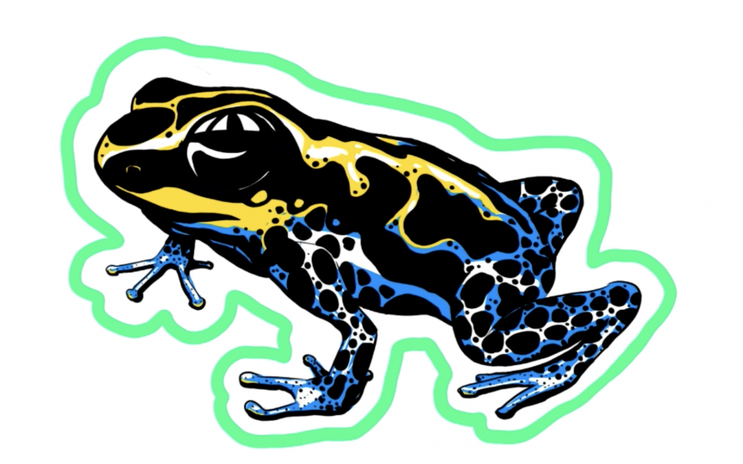 Dendrobatidi – Poison Dart Frog